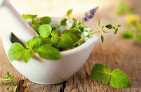 Fitoterapia para aumentar la energía